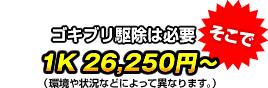 ゴキブリ駆除は必要、そこで「1K 26,250円～（環境や状況などによって異なります。）」