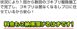 状況により1回から数回のゴキブリ駆除施工で完了し、ゴキブリは居なくなるしプロに任せているから安心！料金もご納得頂けるはずです！