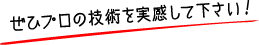 ぜひプロの技術を実感して下さい！